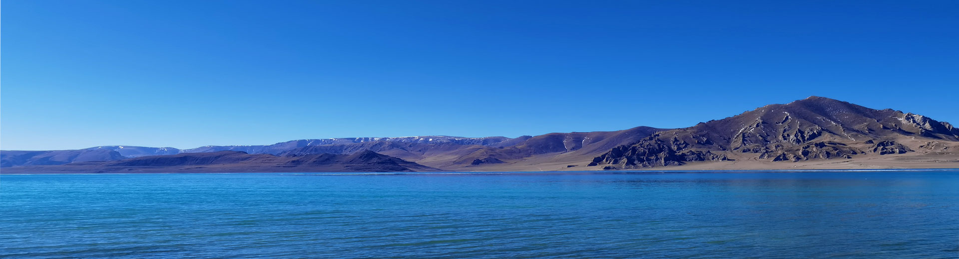 公司高层
